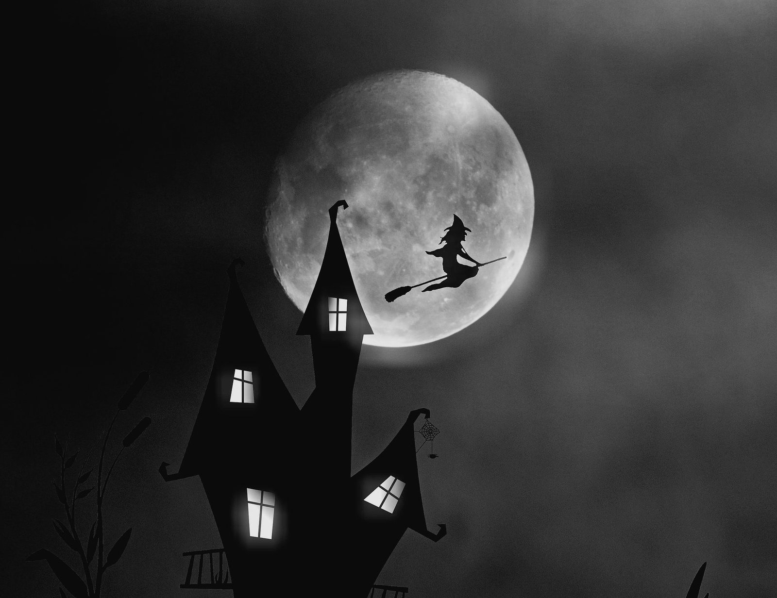 Moon Forecast