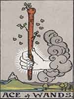 ace-of-wands-free-tarot-reading-s